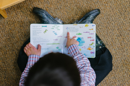 photo-of-a-boy-reading-book-1250722.jpg